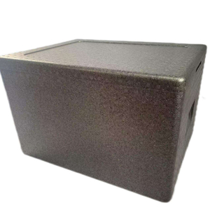 EPP Foam Ice Box Koelberging